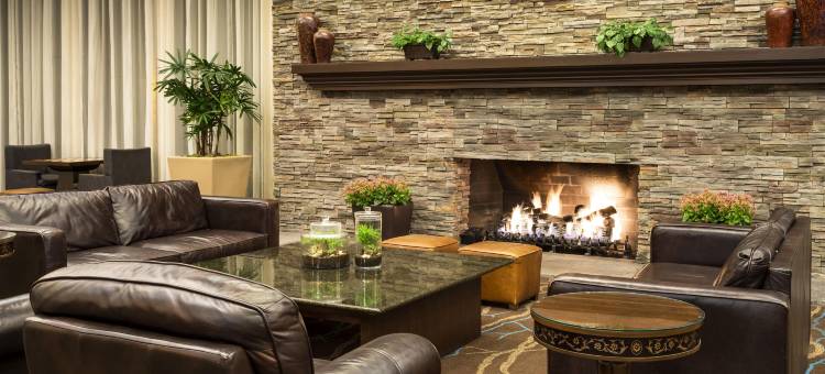 盐湖城喜来登酒店(Sheraton Salt Lake City)图片