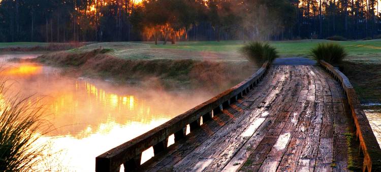 奥兰多北部莱克玛丽威斯汀酒店(The Westin Lake Mary, Orlando North)图片