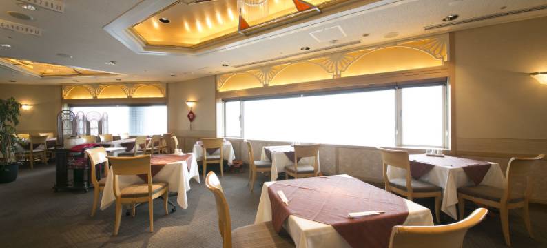 新大阪华盛顿广场酒店(Shin Osaka Washington Hotel Plaza)图片