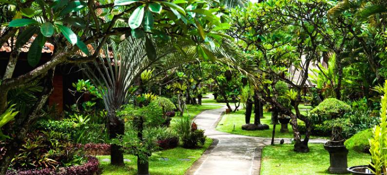 可来登金巴兰度假村(Keraton Jimbaran Beach Resort)图片