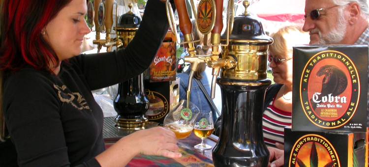 南部舒适酒店(Comfort Inn South)图片