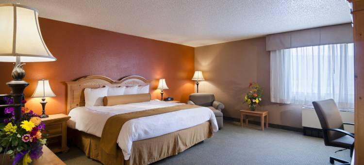 波由特广场贝斯特韦斯特优质酒店(Best Western Plus Butte Plaza Inn)图片