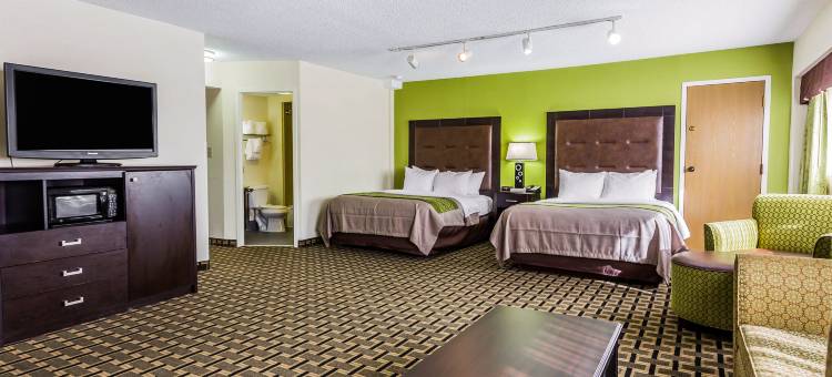 查尔斯顿市区舒适酒店(Comfort Inn Downtown Charleston)图片