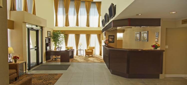 贝斯特韦斯特奥黑尔酒店(Best Western at O'Hare)图片