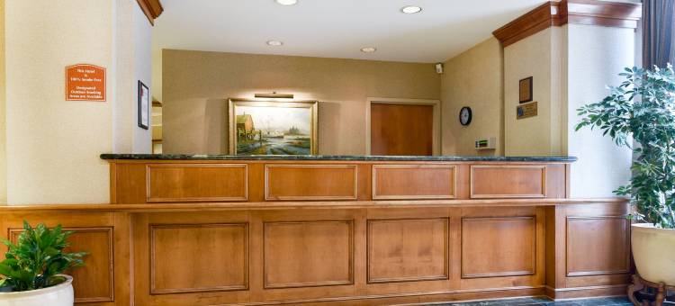 克拉丽奥机场酒店(Clarion Hotel Airport)图片