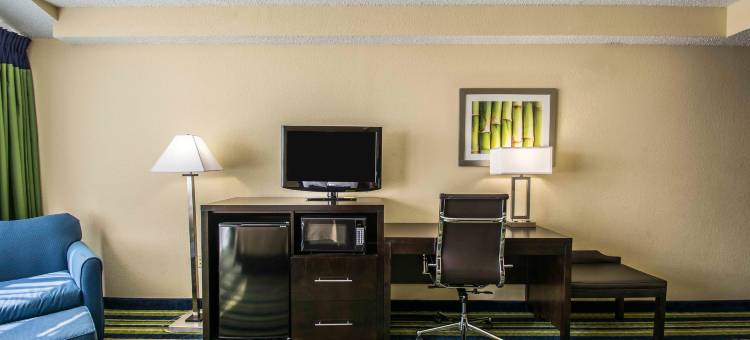 兰坦纳西棕榈滩舒适套房酒店(Comfort Inn & Suites Lantana - West Palm Beach South)图片