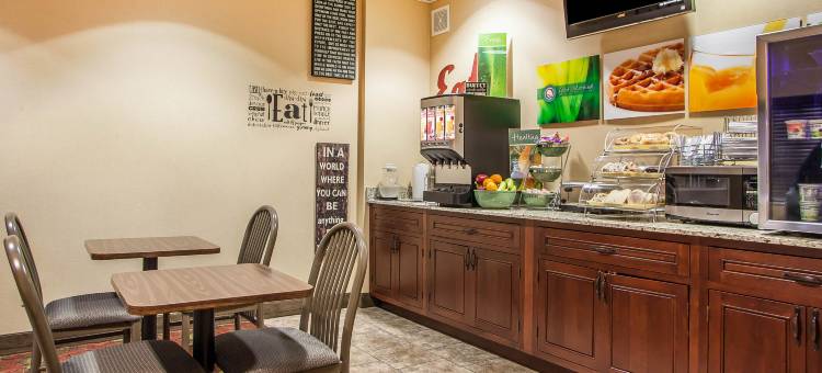 舒适酒店及套房(Comfort Inn & Suites)图片