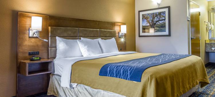 酒店(舒适酒店South San Jose / 摩根山)(Comfort Inn South San Jose - Morgan Hill)图片