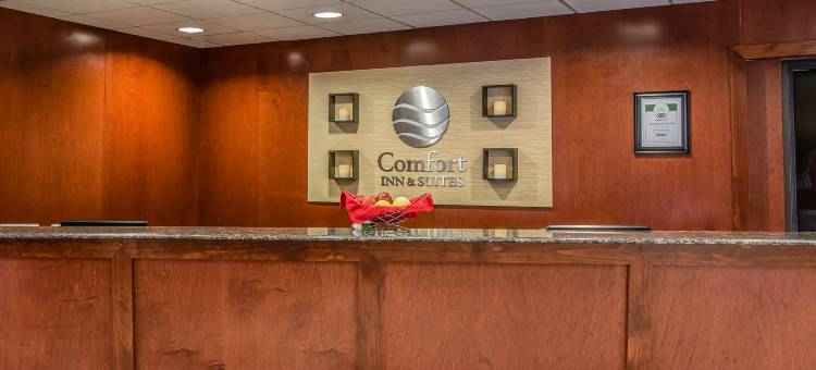 冷水溪凯艺套房饭店 - 靠近 69 号州际公路(Quality Inn & Suites Coldwater Near I-69)图片