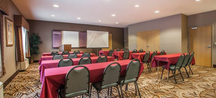 利斯萨米特舒适套房酒店-堪萨斯城(Comfort Inn & Suites Lees Summit - Kansas City)图片