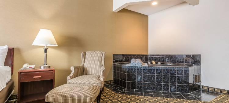 巴达维亚 - 达瑞恩主题乐园菲布丽套房旅店(FairBridge Inn & Suites Batavia-Darien Amusement Park)图片