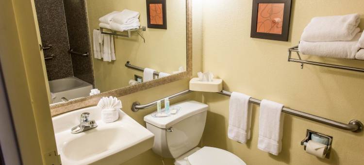 巴吞鲁日艾伦港舒适套房酒店(Comfort Suites Port Allen - Baton Rouge)图片