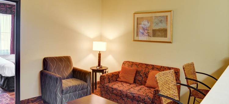 麦金尼阿伦舒适套房酒店(Comfort Suites McKinney-Allen)图片