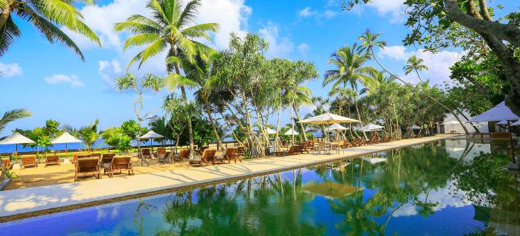 潘达努斯海滩水疗度假村(Pandanus Beach Resort & Spa)图片