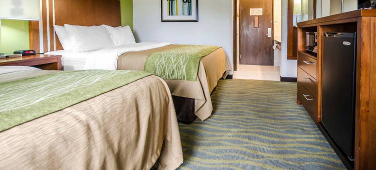 谢泼兹维尔舒适酒店-路易斯维尔南(Comfort Inn Shepherdsville - Louisville South)图片