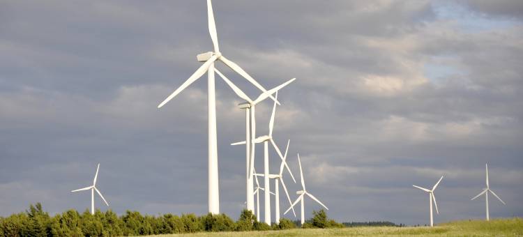 马塔讷凯艺套房酒店(Quality Inn & Suites)图片