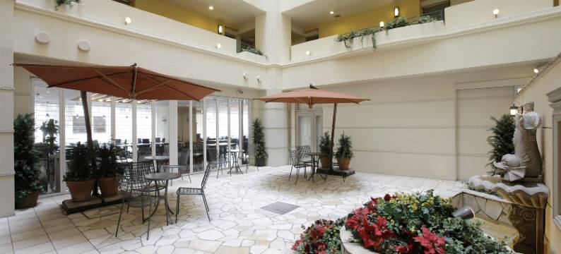 东京葛西卢米埃尔酒店(Hotel Lumiere Kasai)图片