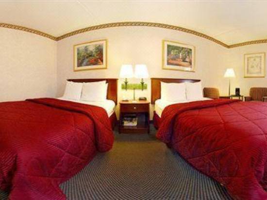 Comfort Inn Boston Hotel Reviews And Room Rates Trip Com