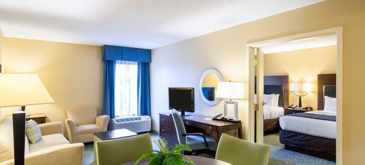 舒适套房酒店-纽华克威尔明顿(Comfort Inn & Suites Newark - Wilmington)图片