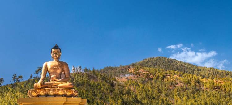 廷布艾美酒店(Le Méridien Thimphu)图片