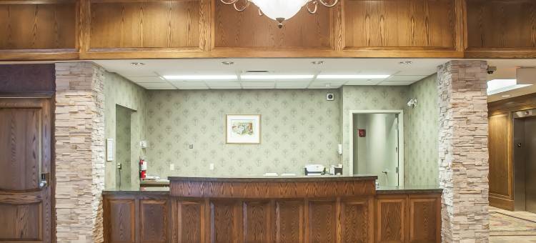 舒适酒店-伦迪巷(Comfort Inn Lundy's Lane)图片