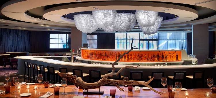 蒙特利尔希尔顿逸林酒店(Doubletree by Hilton Montreal)图片