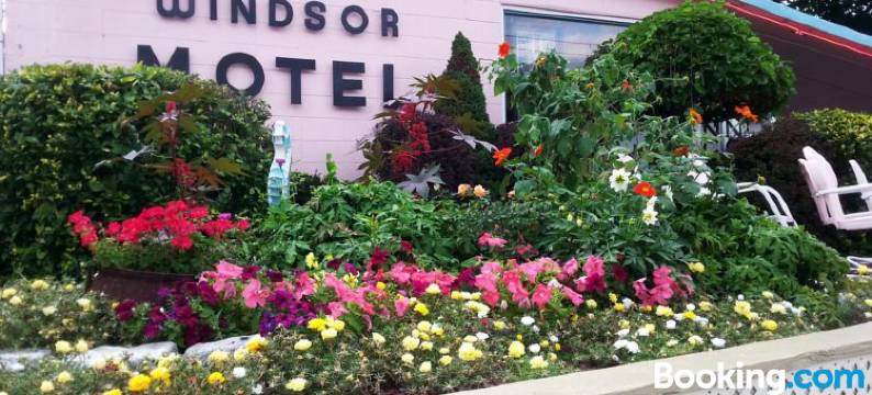 温莎汽车旅馆(Windsor Motel)图片