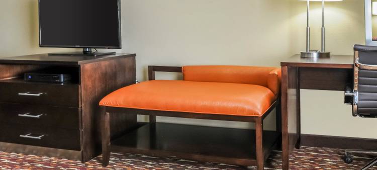 阿尔特西亚舒适酒店及套房(Comfort Inn &amp; Suites Artesia)图片