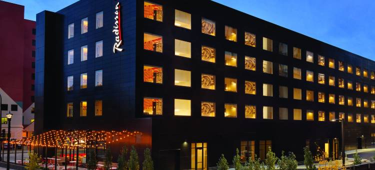 明尼阿波利斯市中心丽芮酒店(Radisson Red Minneapolis Downtown)图片