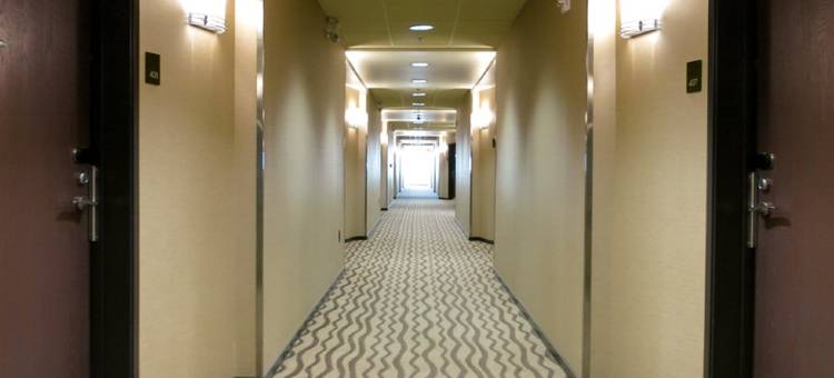 舒适套房酒店(Comfort Suites)图片