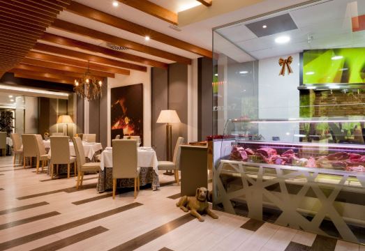 Senator Barajas Hotel Overview