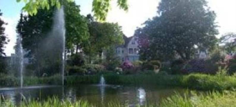 黛琪沃吉别墅酒店(Villa Deichvoigt)图片