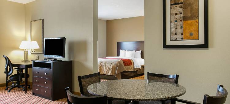 奥古斯塔西部舒适酒店及套房，靠近戈登堡(Comfort Inn & Suites Augusta West Near Fort Gordon)图片