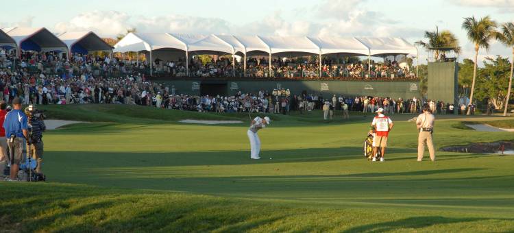 索内斯塔精选博卡－拉顿市中心酒店(Sonesta Select Boca Raton Town Center)图片