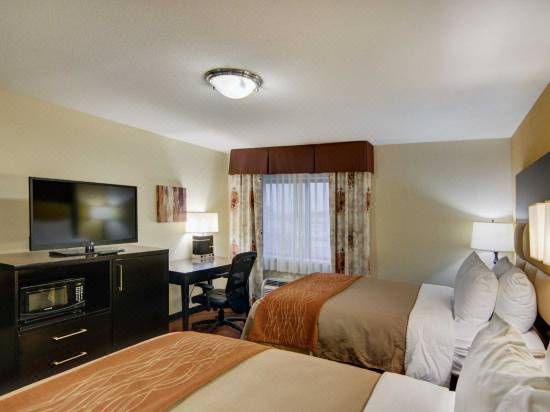 Comfort Inn Grapevine Near Dfw Airport Hotel Reviews And Room