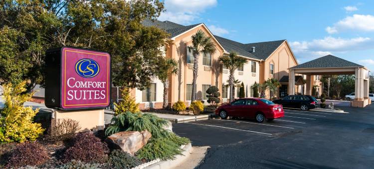 米利奇维尔舒适全套房酒店(Comfort Suites)图片