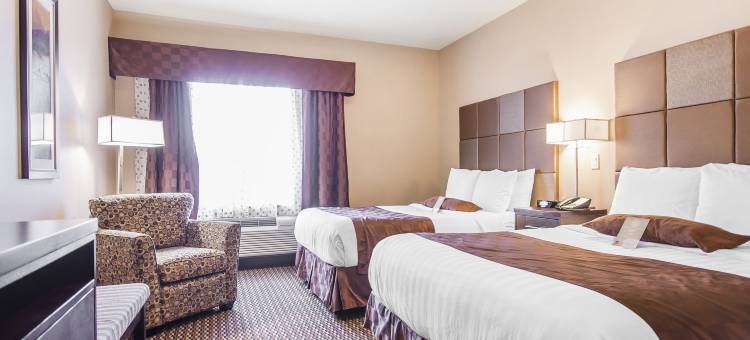 舒适套房酒店(Comfort Suites)图片