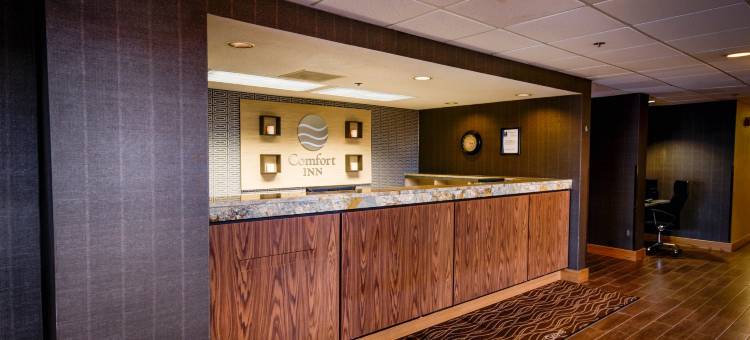 舒适酒店客栈松树林I-81赫尔希地区(Comfort Inn Pine Grove I-81 Hershey Area)图片