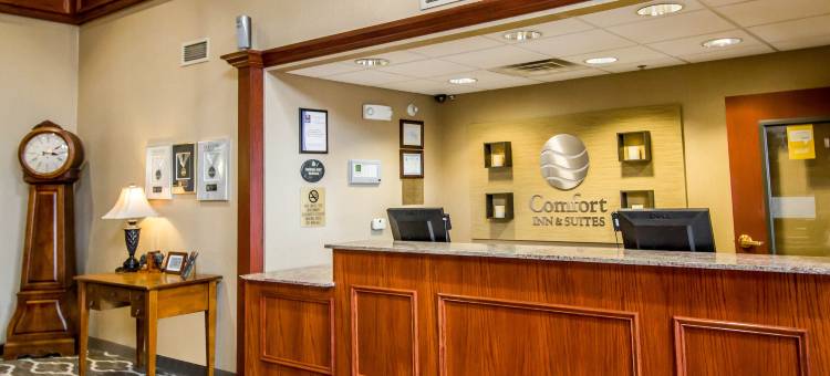 舒适套房酒店(Comfort Inn & Suites)图片