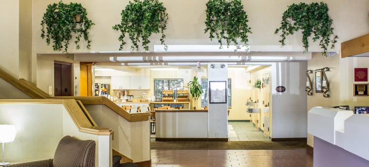 罗利北凯艺套房酒店(Quality Inn & Suites Raleigh North Raleigh)图片