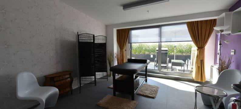 奥利尔酒店(Hotel Aurel)图片