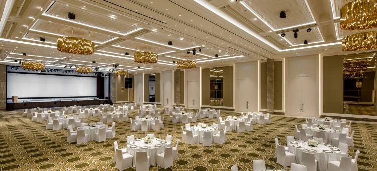 百乐达斯城(Paradise City)图片