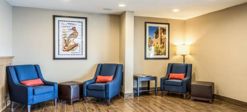 阿尔伯克基市中心舒适套房酒店(Comfort Inn & Suites Albuquerque Downtown)图片