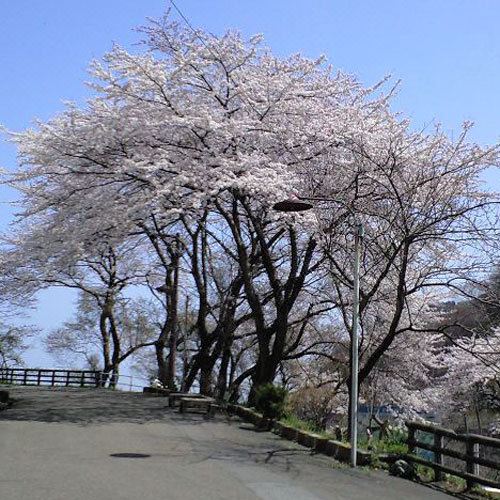 Oyashirazu Kanko Hotel Hotel Reviews And Room Rates - 