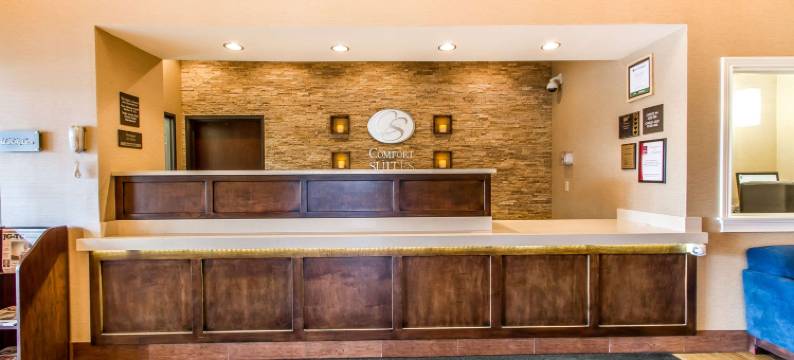 马图恩东部舒适套房酒店(Comfort Suites Mattoon East)图片
