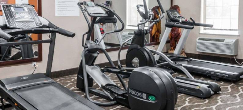 舒适酒店及套房(Comfort Inn & Suites Pharr/McAllen)图片