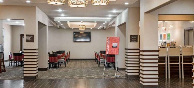 舒适酒店及套房(Comfort Inn & Suites Pharr/McAllen)图片