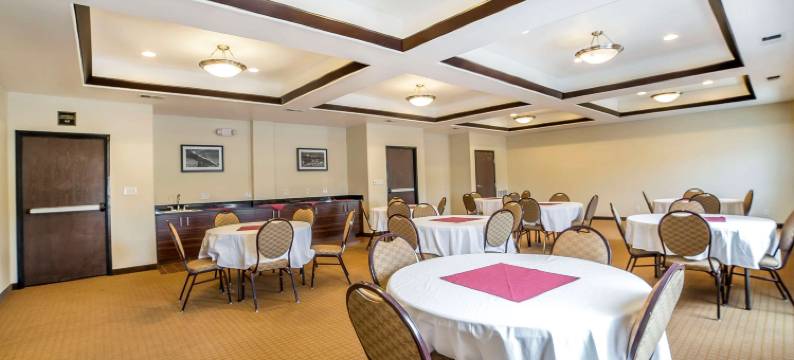 道格拉斯舒眠套房酒店(Sleep Inn & Suites)图片