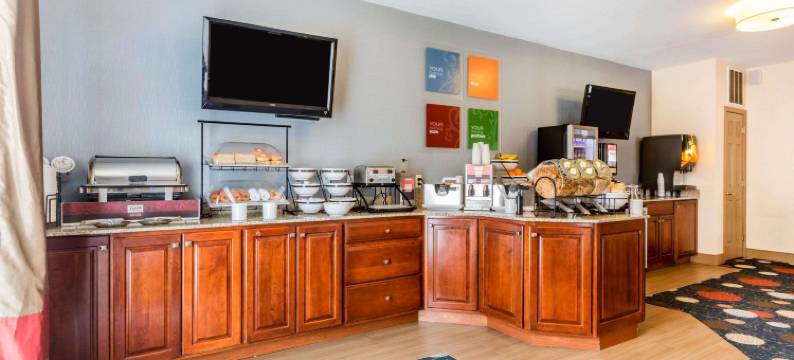 伯灵顿南舒适套房酒店(Comfort Inn & Suites)图片