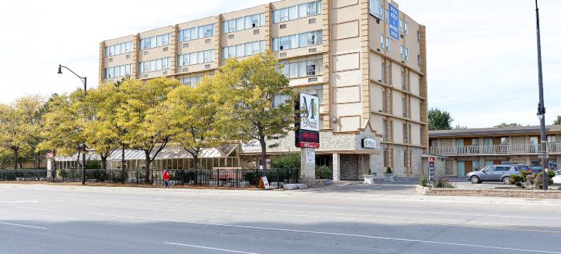 金盏花酒店(The Marigold Hotel)图片